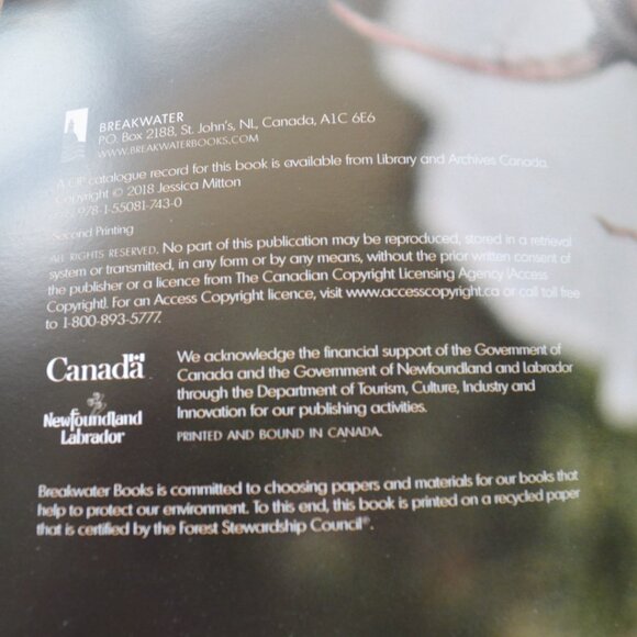 COOKBOOK Some Good Nutritious Newfoundland Dishes by Jessica Mitton - Picture 3 of 3